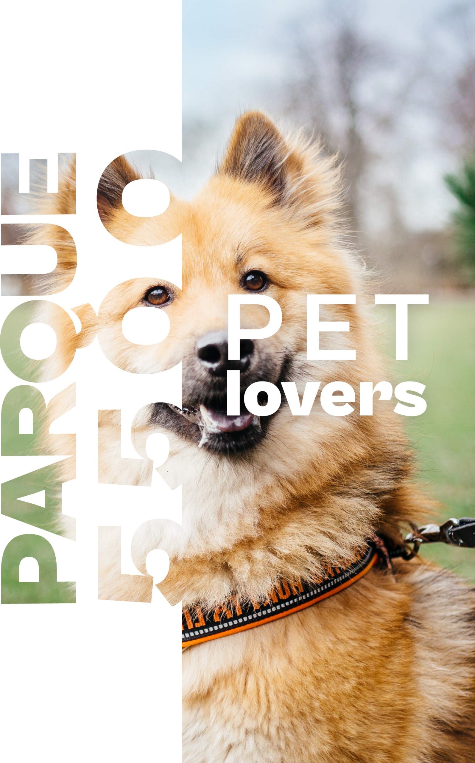 header-pet-lovers-MOBILE