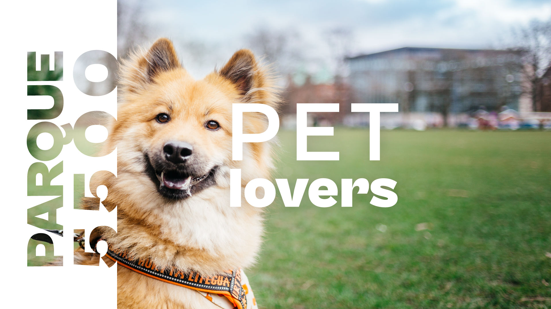 header-pet-lovers-desktop (2)